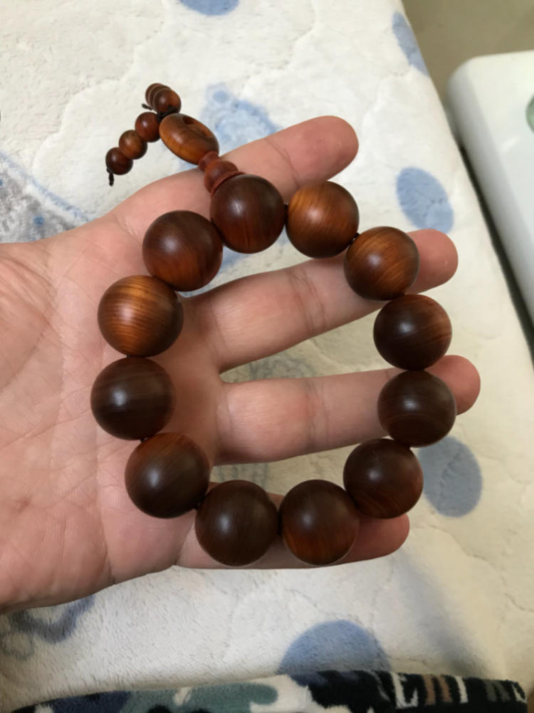 精诚少儿英语加盟机构介绍‘星空真人’