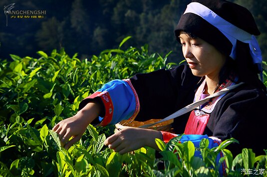 “星空真人”
你的艺考文化课去哪温习 回原校还是选择培训机构?(图2) 星空真人集团官网