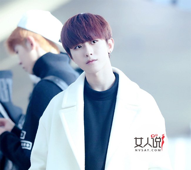 星空真人集团官网