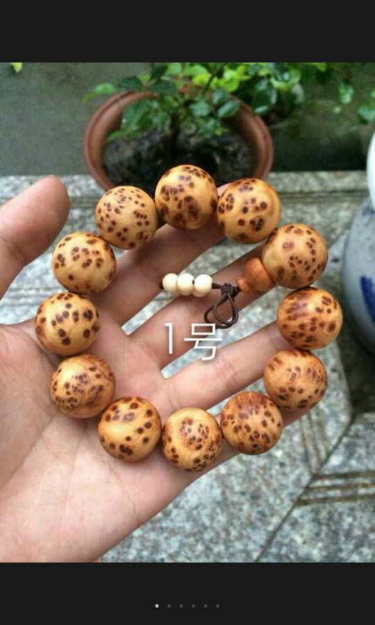 星空真人集团官网