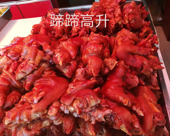 星空真人集团官网