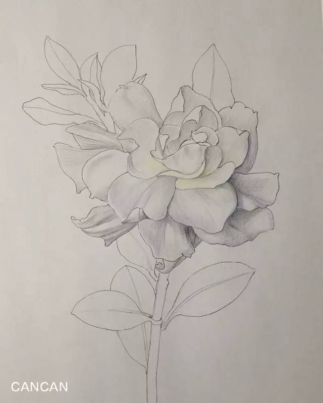 星空真人集团官网|赵本山：郭艾伦是辽宁的英雄 郭少：本人脸都红了