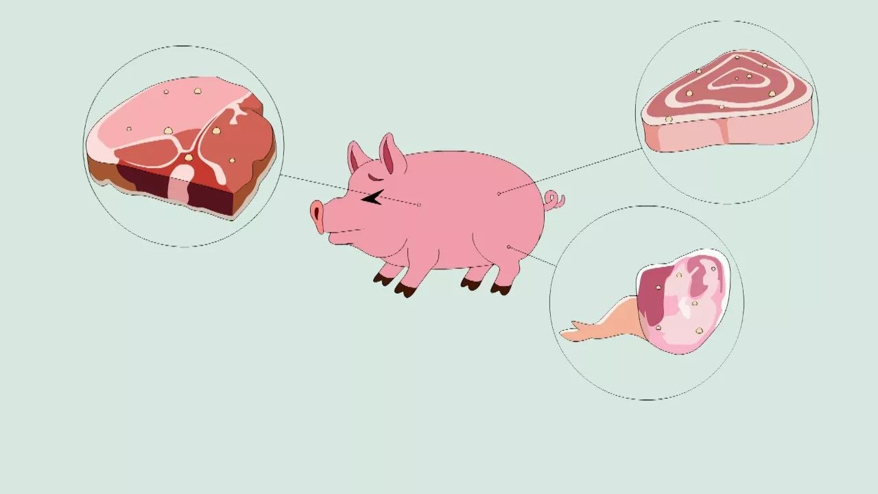 赵本山女儿球球直播承认整容：对比我和我爸就知道了“星空真人集团官网”