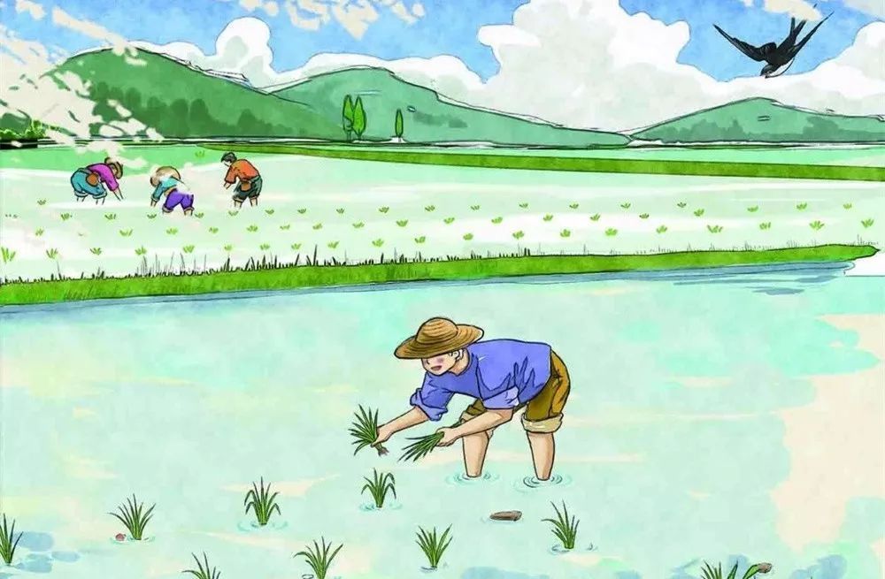 星空真人集团官网