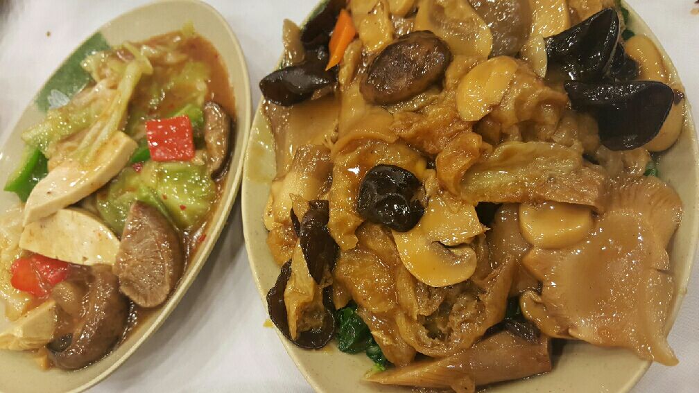 星空真人集团官网