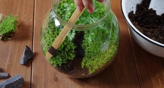 《我们的乐队》超长预告今晚亮相,王俊凯被谢霆锋、萧敬腾团宠【星空真人集团官网】(图3) 星空真人