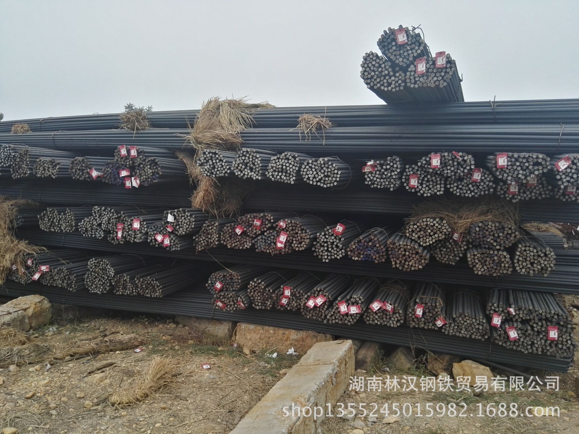 星空真人集团官网