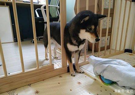 星空真人集团官网