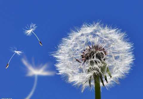 星空真人集团官网