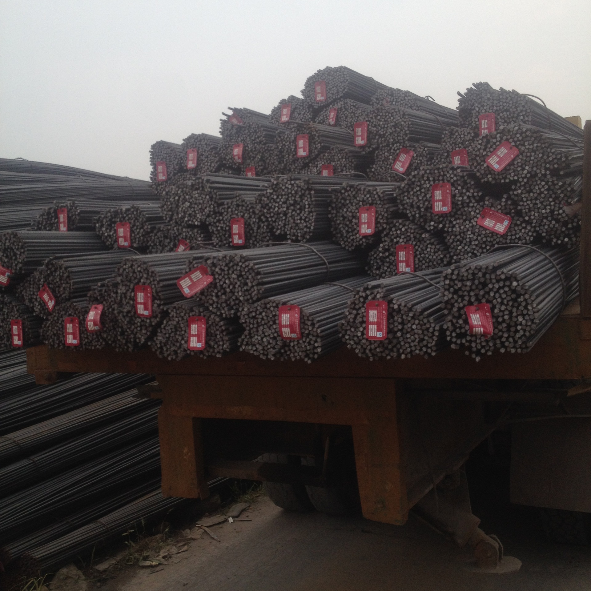 星空真人集团官网