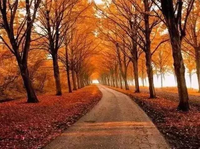 星空真人集团官网