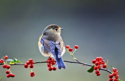 星空真人集团官网