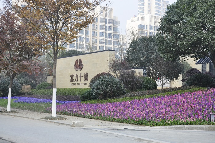 星空真人集团官网