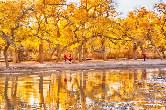 星空真人集团官网