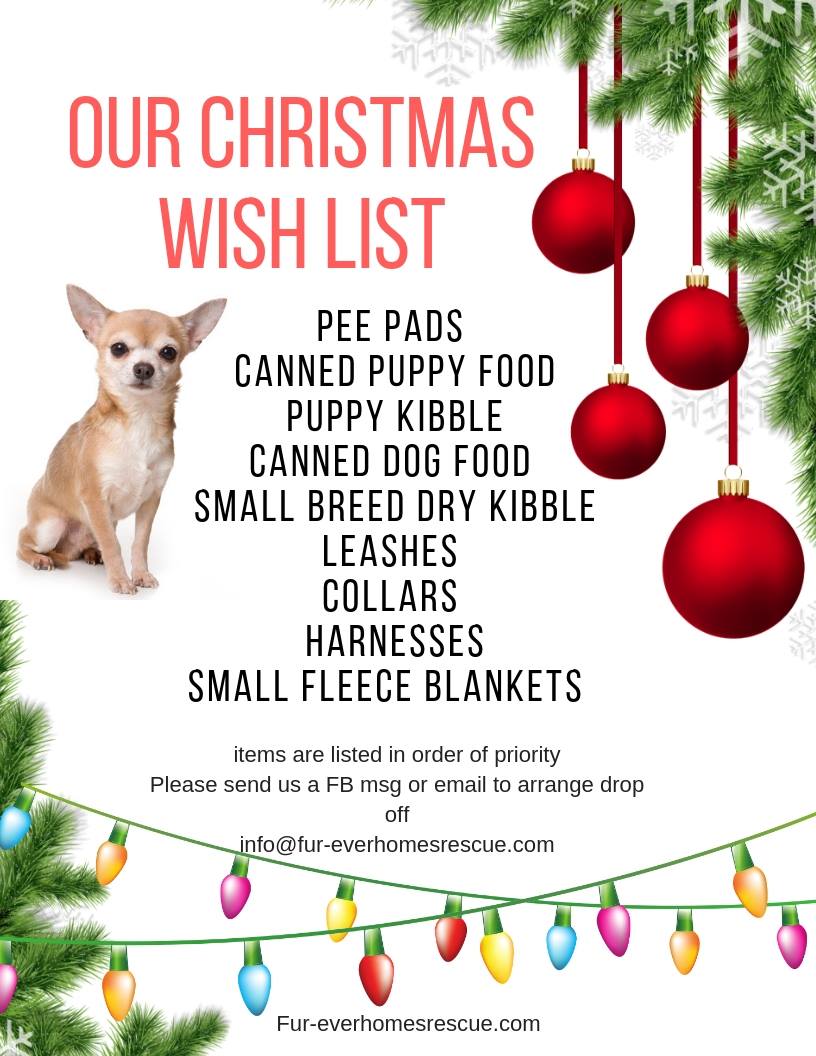 鲱鱼宝宝早教公司介绍:星空真人集团官网(图3) 星空真人集团官网