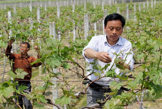 星空真人集团官网