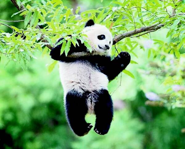 星空真人集团官网