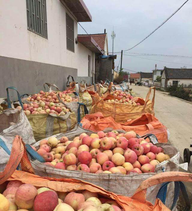 星空真人集团官网