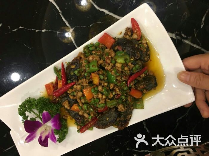 星空真人集团官网