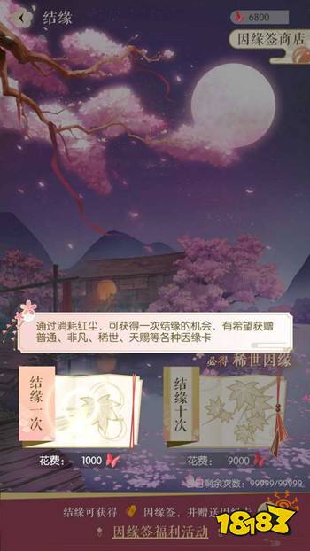 星空真人