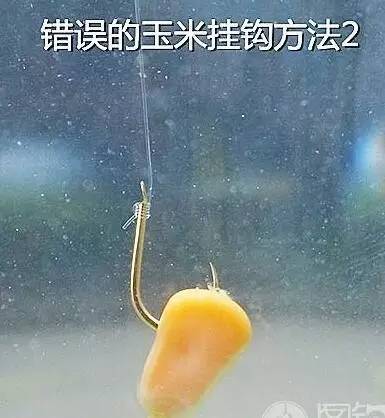 星空真人